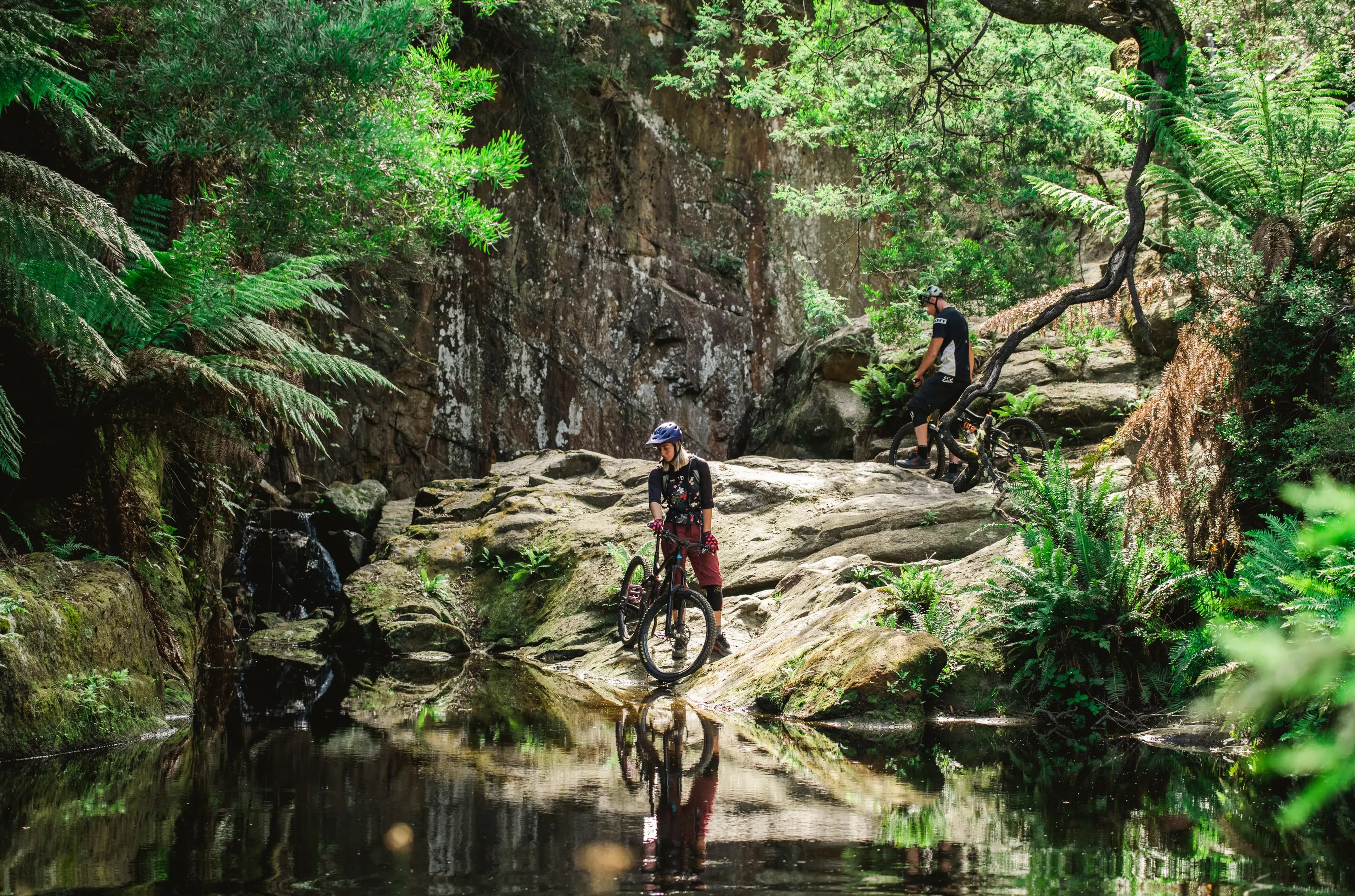 Blue Derby Mountain Bike Trails